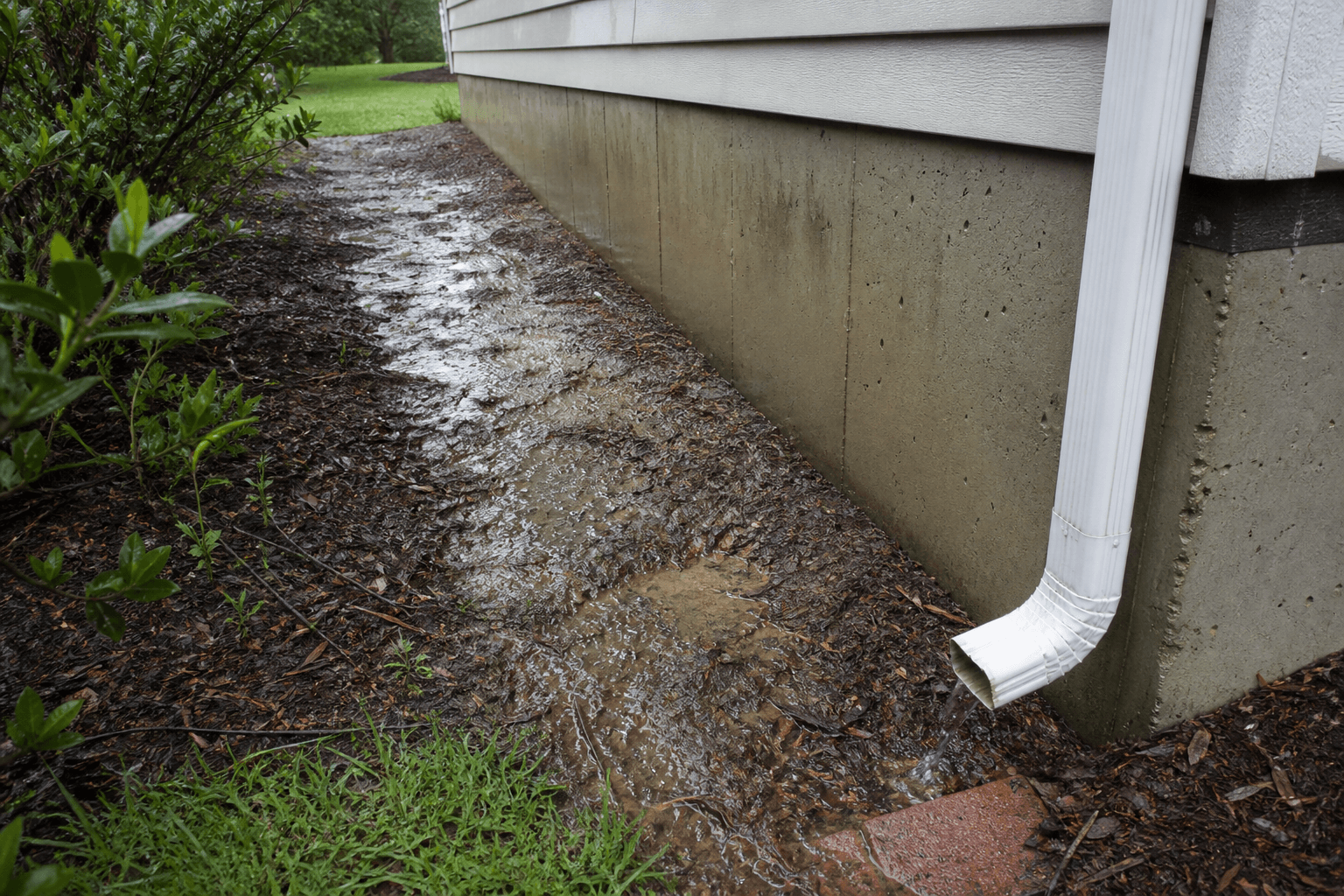 Wet soil and downspout water collecting along an exterior foundation wall